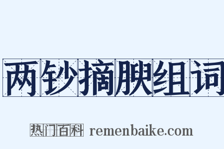 两钞摘腴组词是什么意思的图片